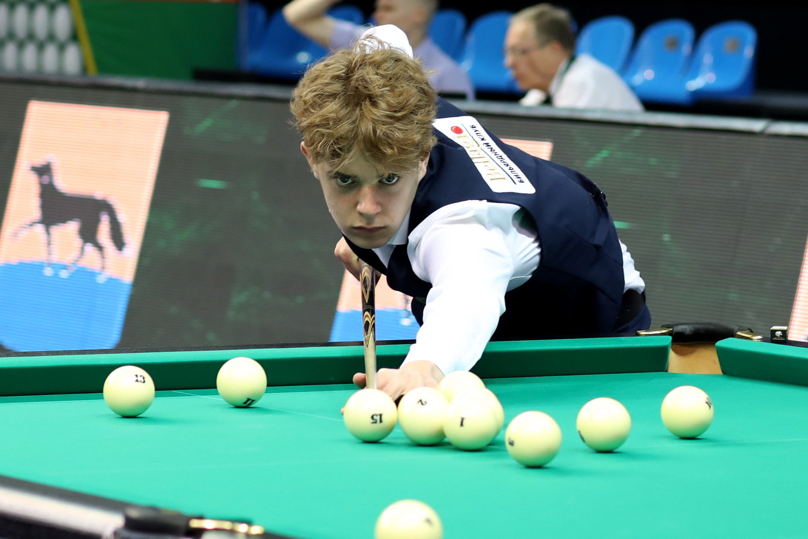 Бильярдный спорт россии