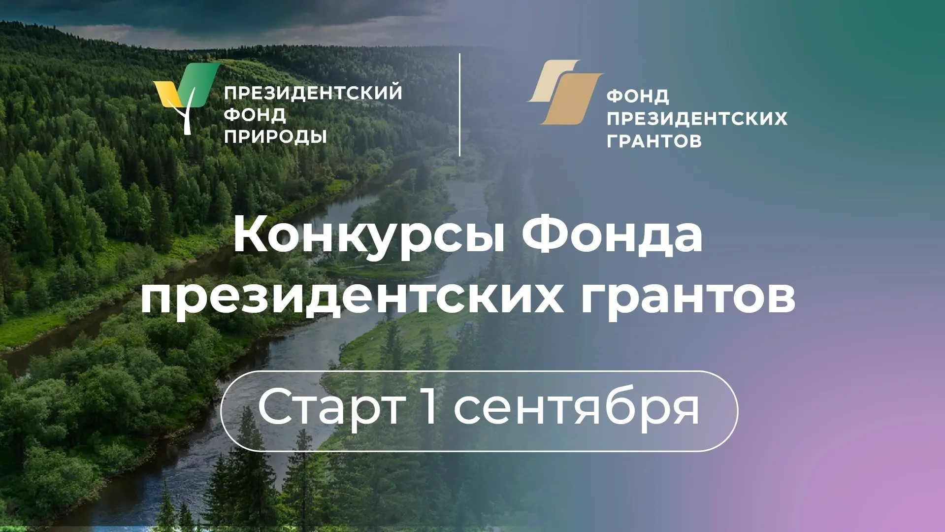 Изображения