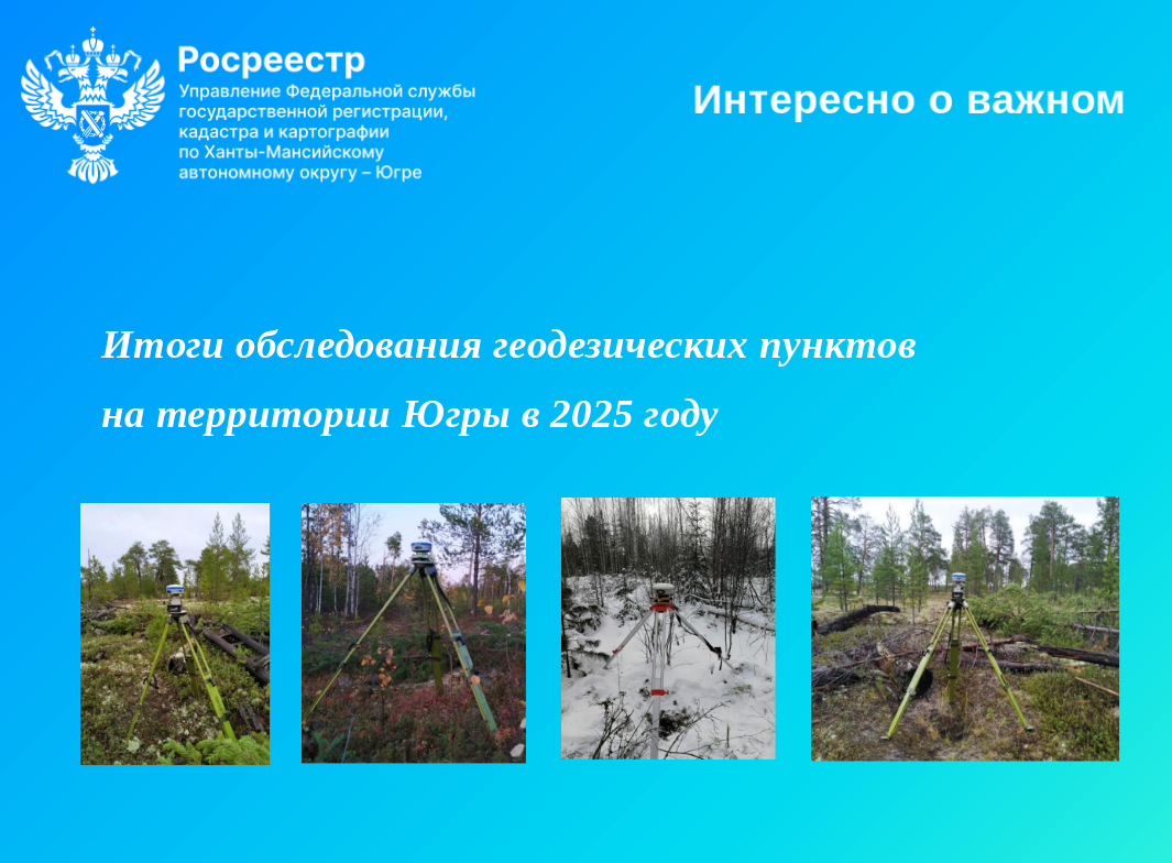 Изображения