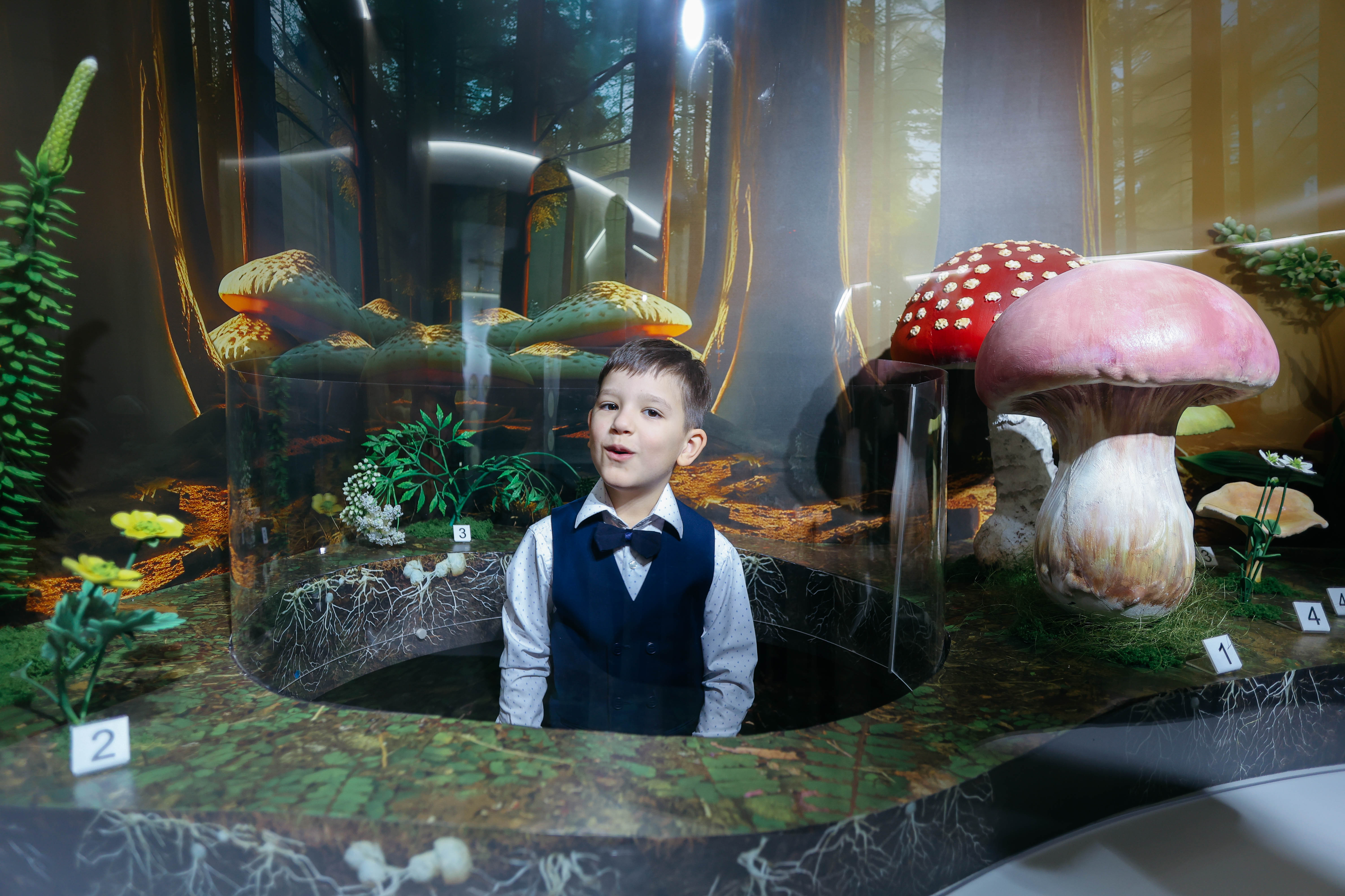 Изображения