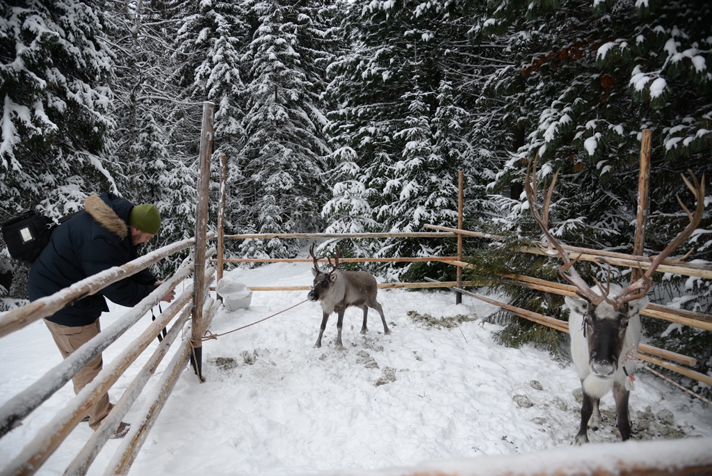 Изображения