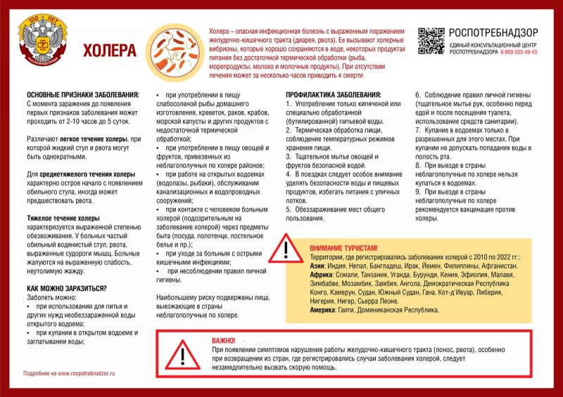 a4-xolera.jpg